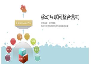 解析邵明宇 互联网营销模式如何重塑销售格局